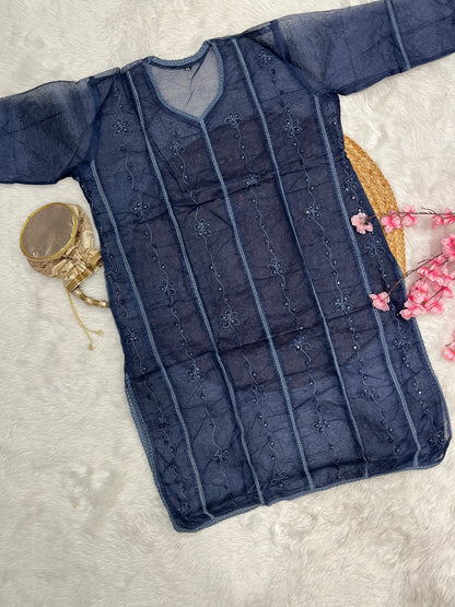 Kaizan Applique Chikankari Handwork plus size organza long straight kurtis